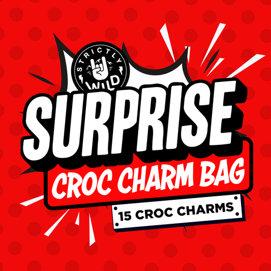 Surprise Croc Charm Bag